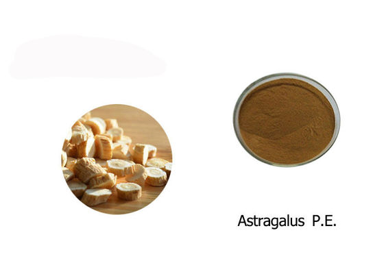 100% Astragalus Extract Powder supplier