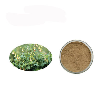 High Purity Anti Cancer Polysaccharides Astragalus Extract Powder supplier