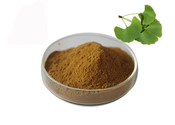 Owering Blood Pressure Ginkgo Biloba Bulk Powder supplier