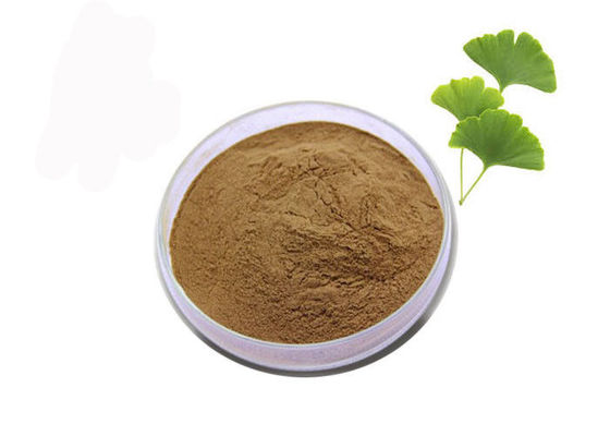 Regulate Blood Fat 24/6 Ginkgo Biloba Standardized Extract supplier