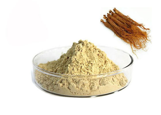 10% Ginsenosides Red Ginseng Extract supplier