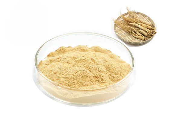 Organic Siberian Root 30% 80% Ginsenosides Pure Ginseng Extract supplier