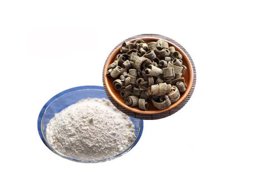Magnolol Magnolia Bark Extract Powder supplier