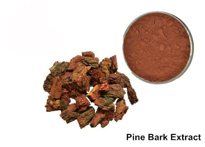Anti Aging OPC Pine Bark Extract Powder For Cosmetics 0