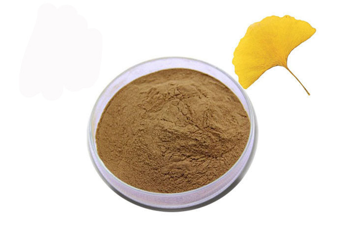 Pharmaceutical Grade Ginkgo Biloba Extract Powder For Health Care 0