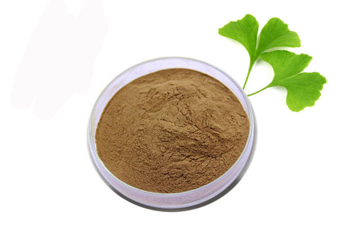 Regulate Blood Fat 24/6 Ginkgo Biloba Standardized Extract 0