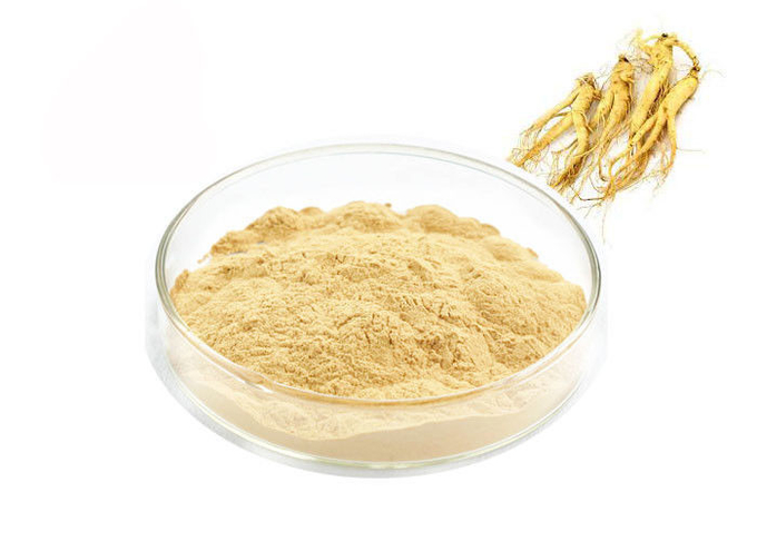 Food Grade Panaxoside Ginseng Extract Powder For Health Products 0