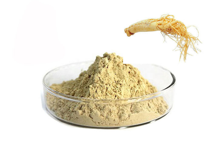 CAS 90045-38-8 80% Ginsenosides Pure Herbal Ginseng Root Powder 0